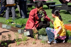 Michelle Obama gardening with an elementary school student. Photo courtesy of Whjte House Public Domain