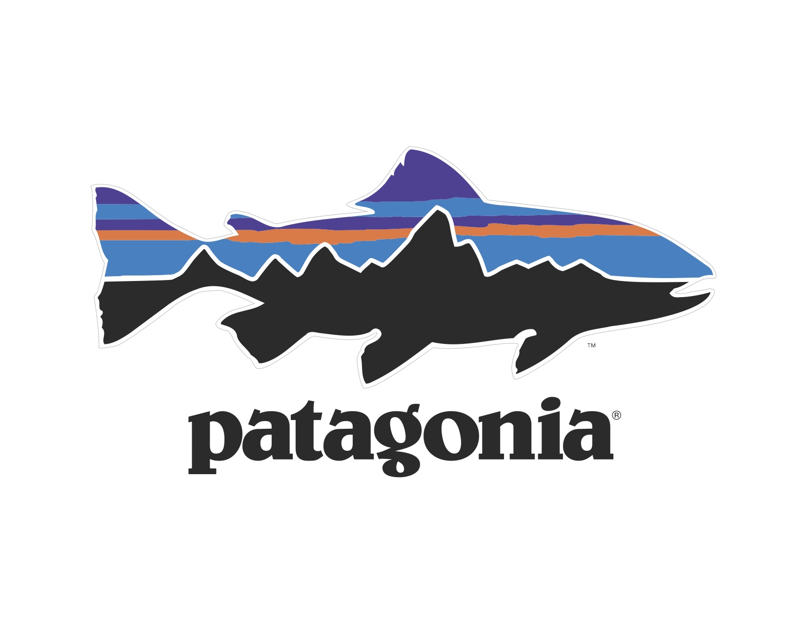 Patagonia Fly Fishing Equip  Fish logo, Fly fishing, Fish