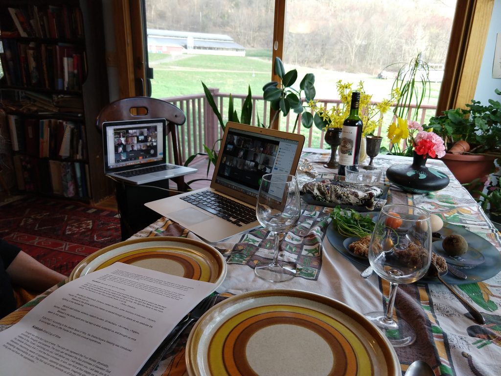 Moving our Passover Seder to Zoom was one of our eco-friendly changes. Shown: seder plate and Zoom on two monitors.